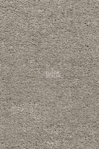 Ковролин AW Invictus Heroicus 91 фото 1 | FLOORDEALER